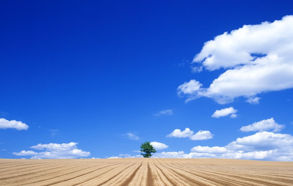 合肥市聚力“雙招雙引”，打造經濟綠色增長極